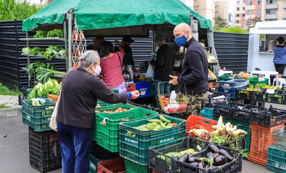 feira orgânicos