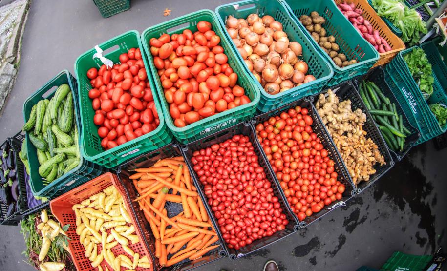 feira orgânicos