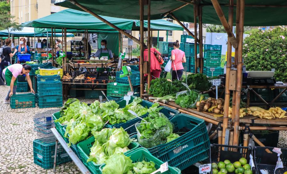 feira orgânicos