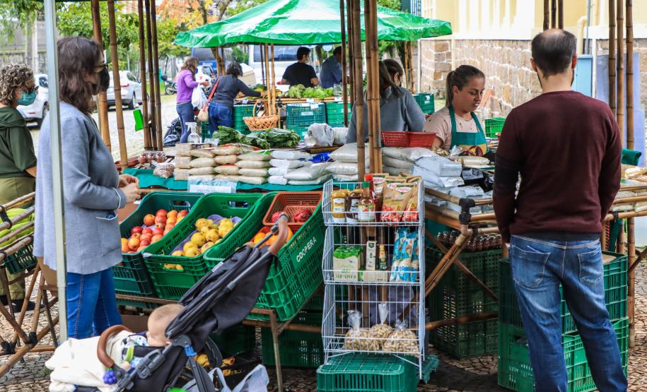 feira orgânicos
