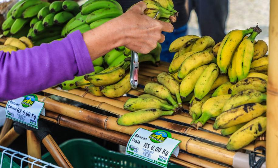 feira orgânicos
