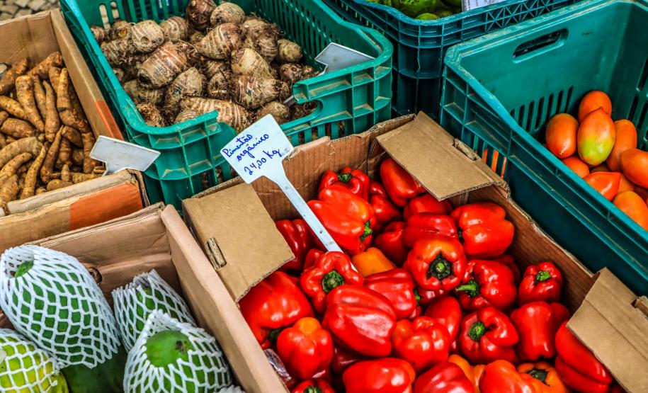 feira orgânicos