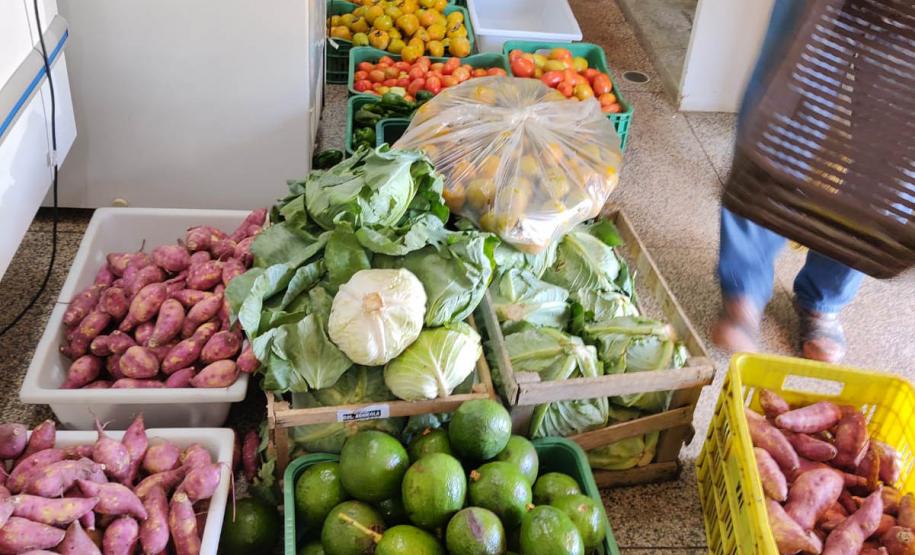 Compras públicas impulsionam produção e consumo de alimentos orgânicos no Paraná