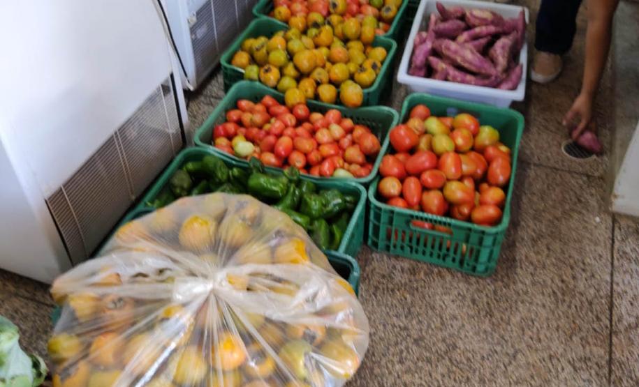 Compras públicas impulsionam produção e consumo de alimentos orgânicos no Paraná