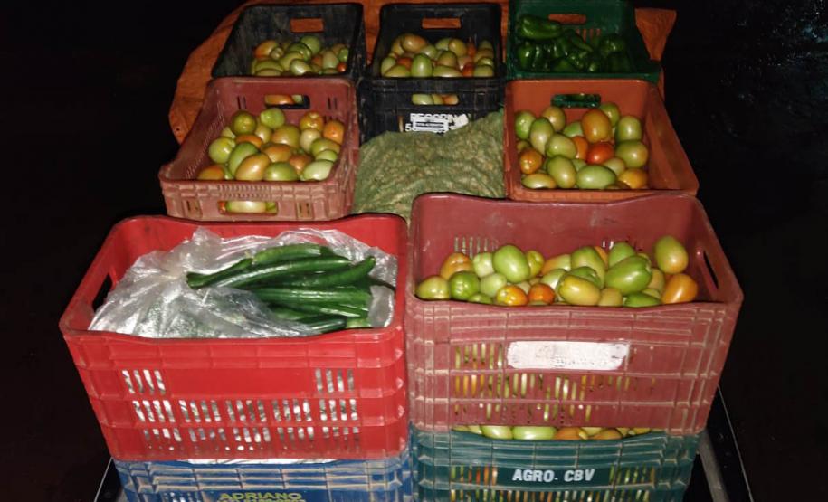 Compras públicas impulsionam produção e consumo de alimentos orgânicos no Paraná