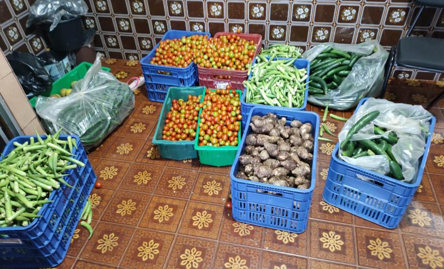 Compras públicas impulsionam produção e consumo de alimentos orgânicos no Paraná