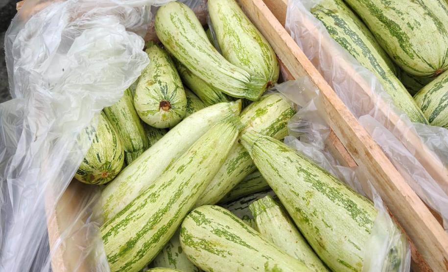 Compras públicas impulsionam produção e consumo de alimentos orgânicos no Paraná