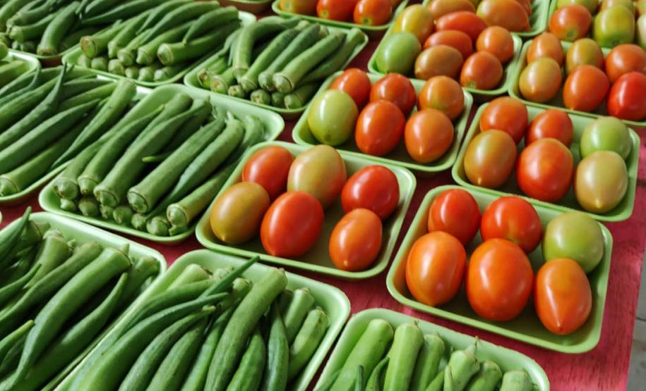 Compras públicas impulsionam produção e consumo de alimentos orgânicos no Paraná