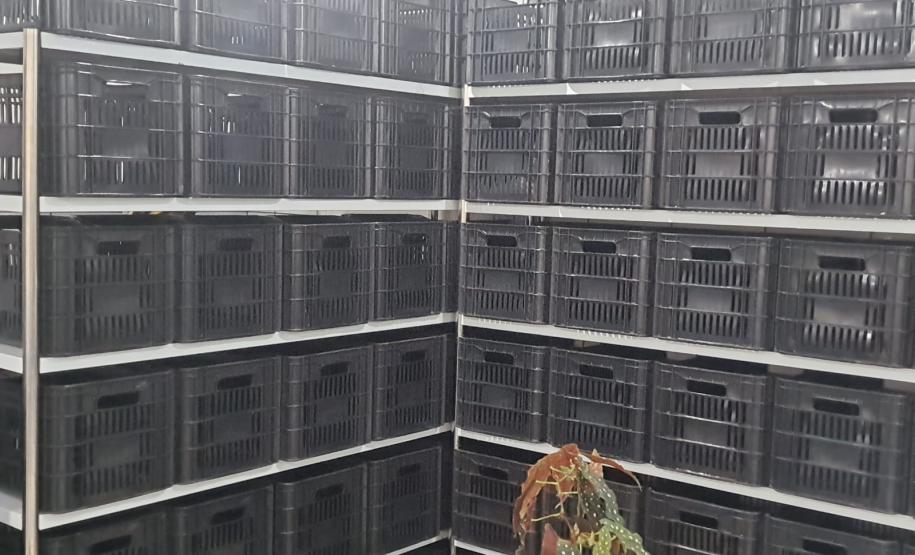 Com apoio do governo, Central de Recebimento de Alimentos atende famílias no Noroeste