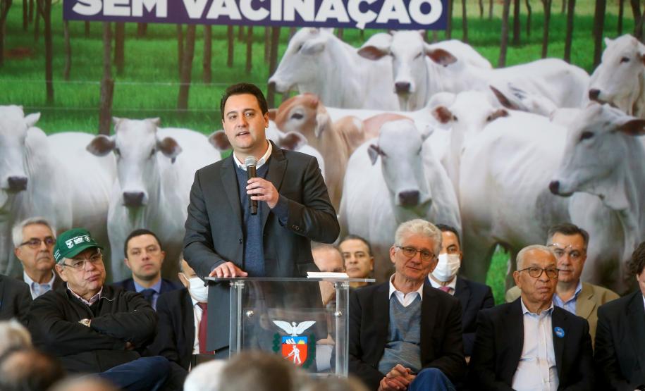 Um ano após conquista sanitária, Paraná reúne mais condições para crescer, diz governador