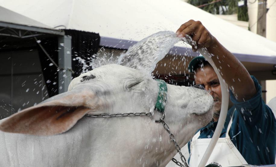 Expoingá destaca ações do Estado para consolidar a industrialização do campo