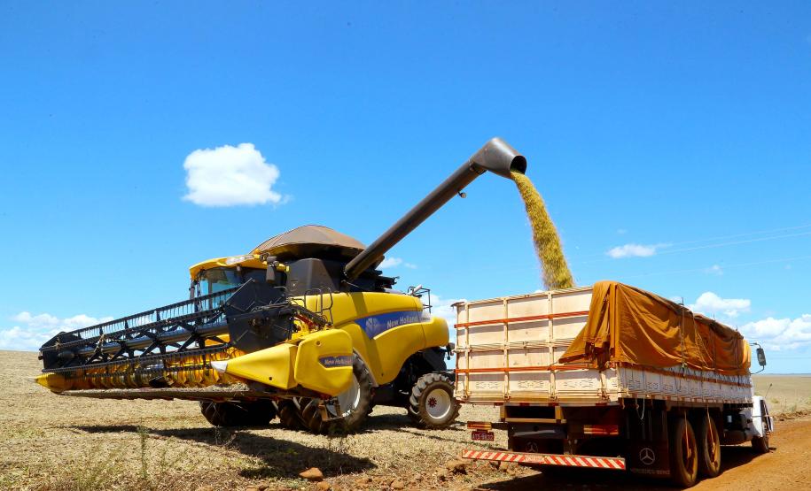 VBP Agropecuário do Paraná cresce 41%  em 2021 e alcança R$ 180,4 bilhões