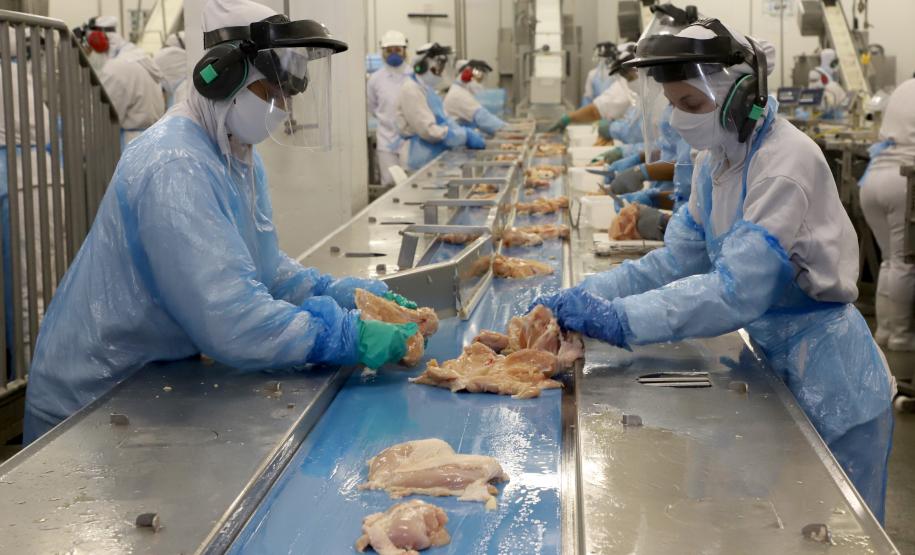 VBP Agropecuário do Paraná cresce 41%  em 2021 e alcança R$ 180,4 bilhões