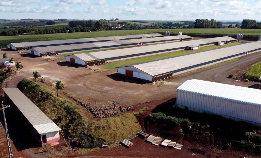 VBP Agropecuário do Paraná cresce 41%  em 2021 e alcança R$ 180,4 bilhões