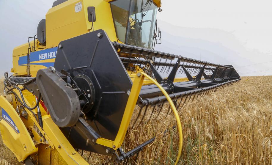 Mesmo com chuvas que atrasaram colheita e plantio, previsão é de 25,7 milhões de toneladas de grãos