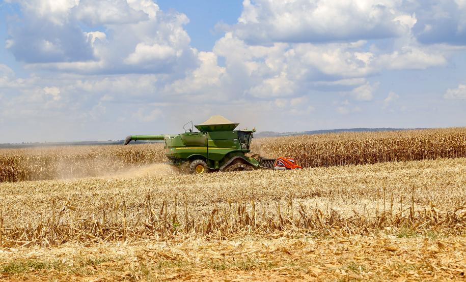 Deral lança novas edições do Prognóstico Agropecuário com perspectivas sobre seis produtos