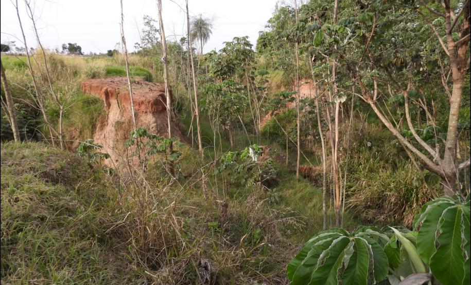 Figura 10 - Processo de voçorocamento em cabeceira de drenagem