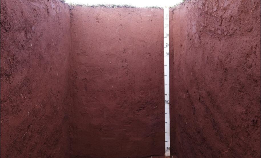 Figura 1 - Latossolo Vermelho