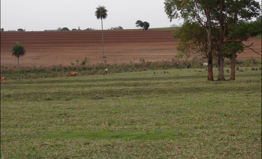 Figura 3 - Rampas de relevo suave ondulado