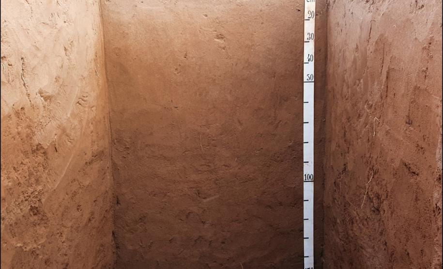 Figura 5 - Argissolo Vermelho-Amarelo