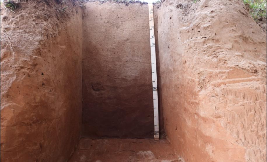 Figura 6 - Argissolo Vermelho-Amarelo distrófico arênico