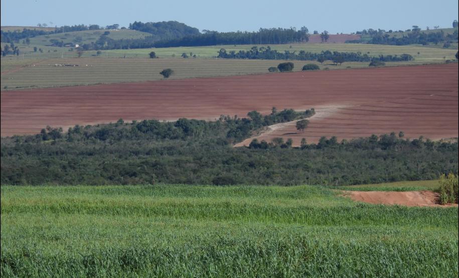 Figura 7 - Cabeceira de drenagem em rampa convexa-côncava-convergente