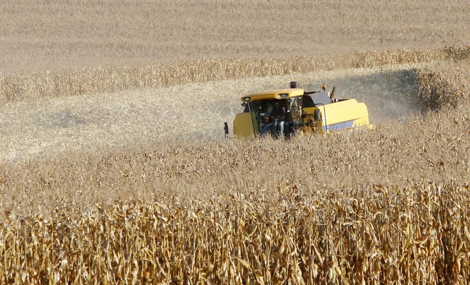 Setor agropecuário do Paraná alcançou os maiores patamares da história nos últimos anos