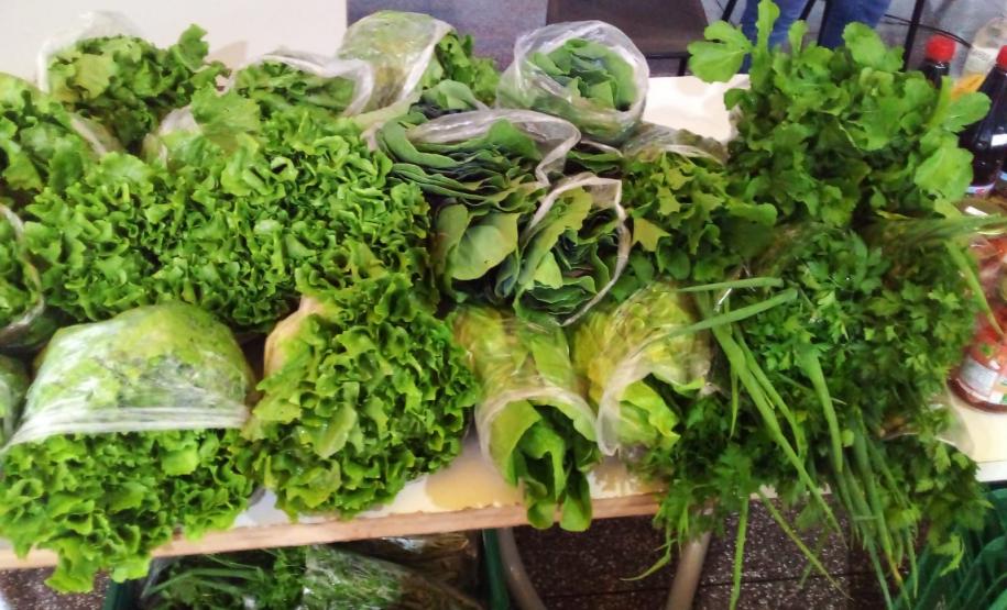 Pavimentação de estrada rural beneficia agricultura familiar no Sudoeste