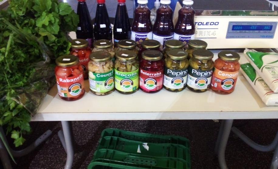 Pavimentação de estrada rural beneficia agricultura familiar no Sudoeste