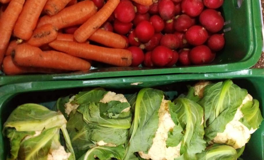 Pavimentação de estrada rural beneficia agricultura familiar no Sudoeste