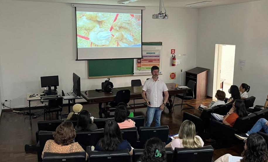 Paraná reforça ações de prevenção da Influenza Aviária