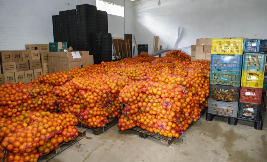 Líder nacional em alimentos orgânicos, Paraná investe para ampliar produção e consumo