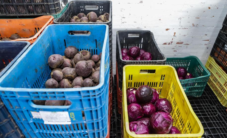 Líder nacional em alimentos orgânicos, Paraná investe para ampliar produção e consumo
