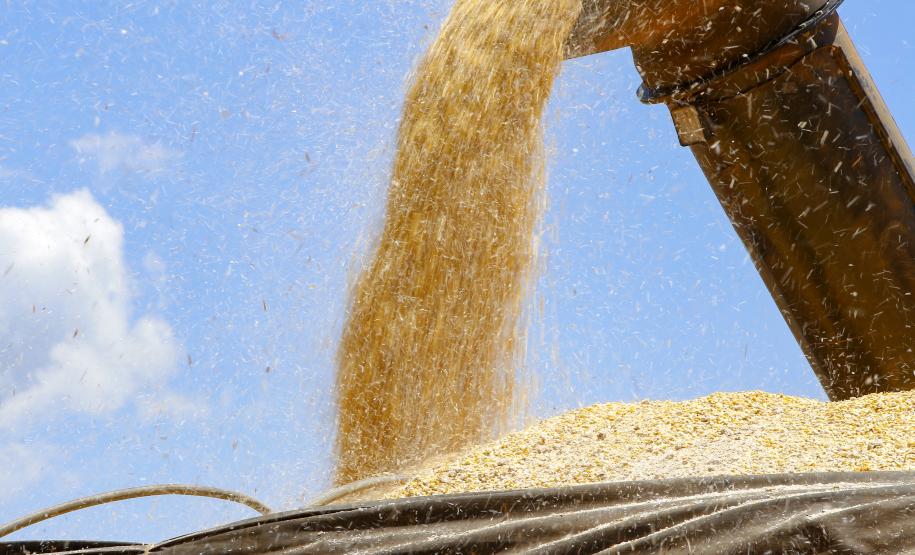 Deral divulga primeiras estimativas para a segunda safra 2022/2023