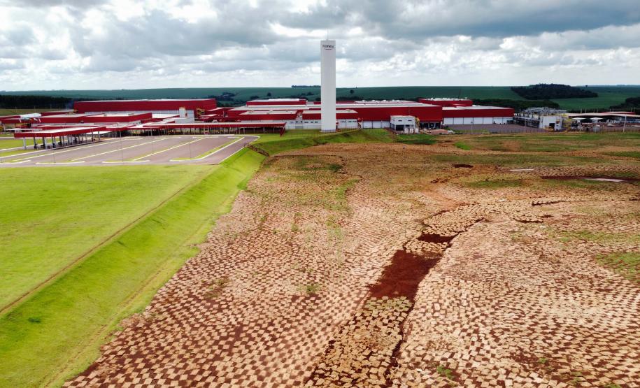 Paraná ganha o maior frigorífico de suínos da América Latina
