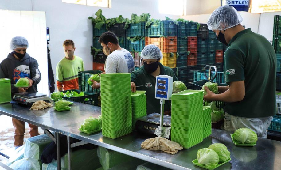 Em 4 anos, programas do Estado liberam mais de R$ 67 milhões para agricultores familiares