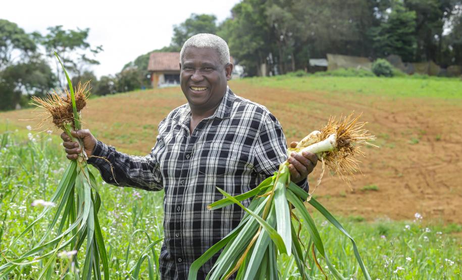 Líder nacional em alimentos orgânicos, Paraná investe para ampliar produção e consumo