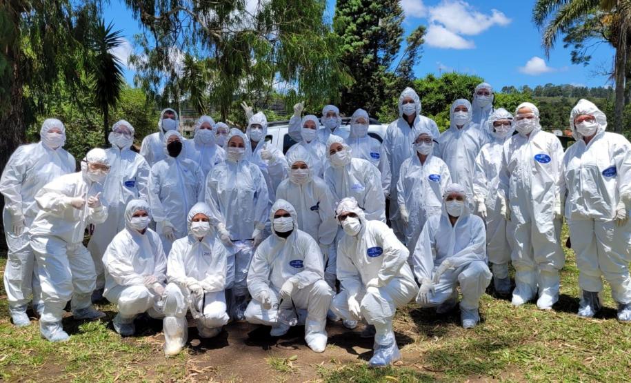 Paraná reforça ações de prevenção da Influenza Aviária