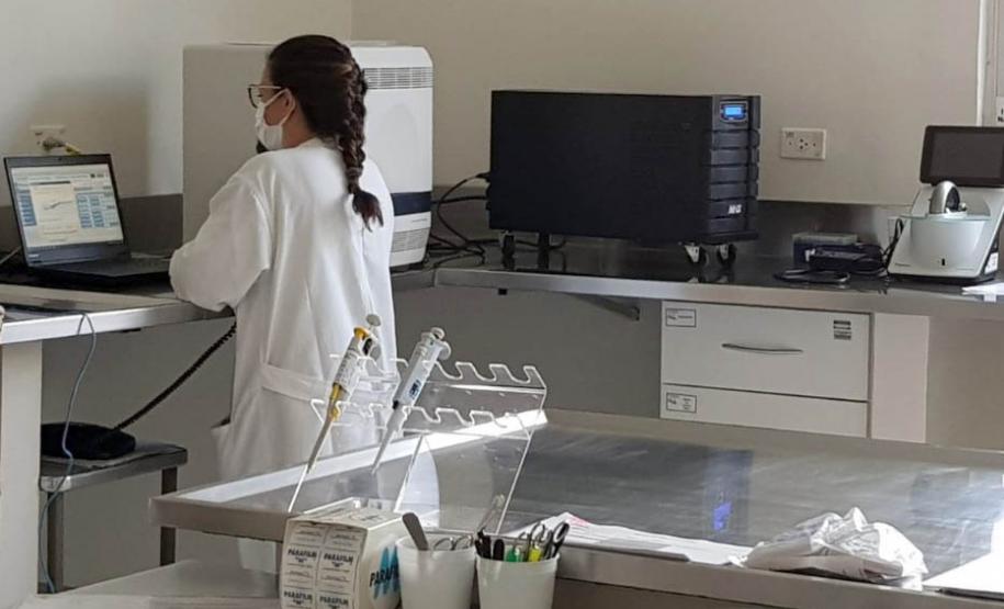 Com foco em inovação, defesa agropecuária do Paraná ganhou grande impulso nos últimos anos