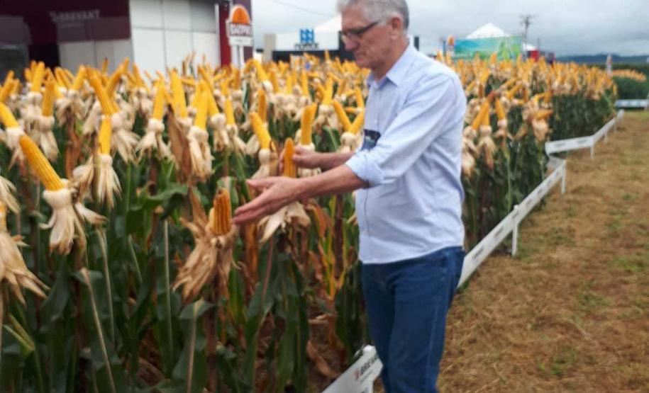 Eventos técnicos do agronegócio divulgam inovações no Norte do Paraná