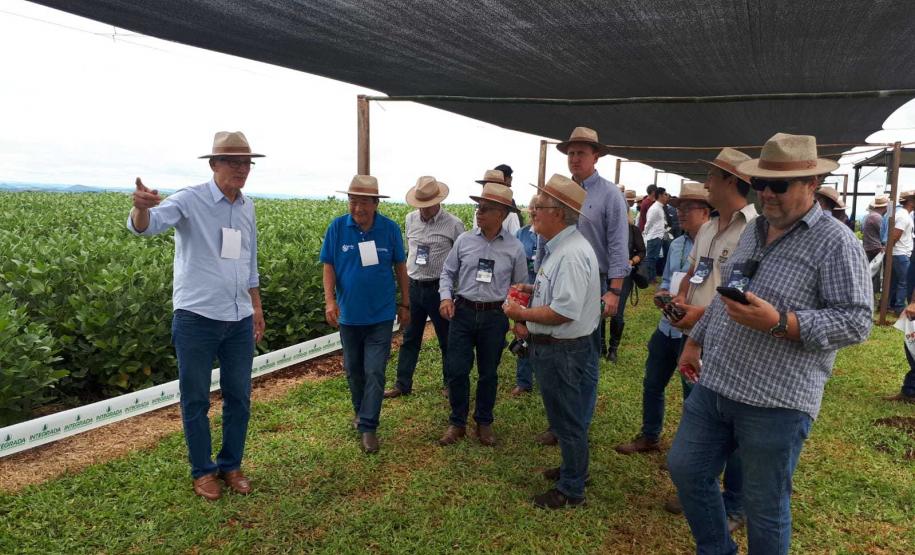 Eventos técnicos do agronegócio divulgam inovações no Norte do Paraná