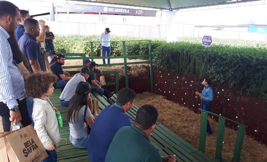 Eventos técnicos do agronegócio divulgam inovações no Norte do Paraná
