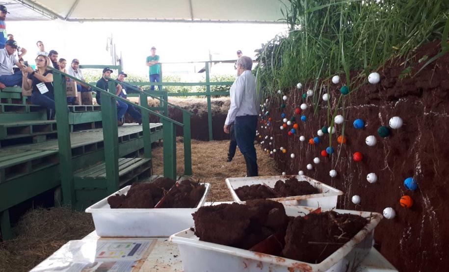 Eventos técnicos do agronegócio divulgam inovações no Norte do Paraná