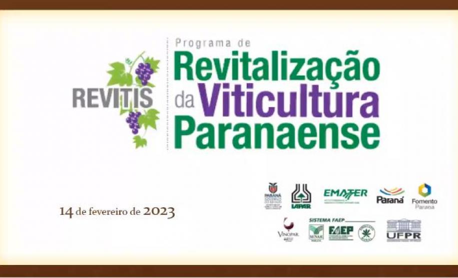 Programa de apoio à produção de uvas e derivados no Paraná reforça ações em 2023