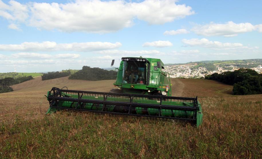 Clima favorece colheita e qualidade do feijão no Paraná, aponta boletim agropecuário