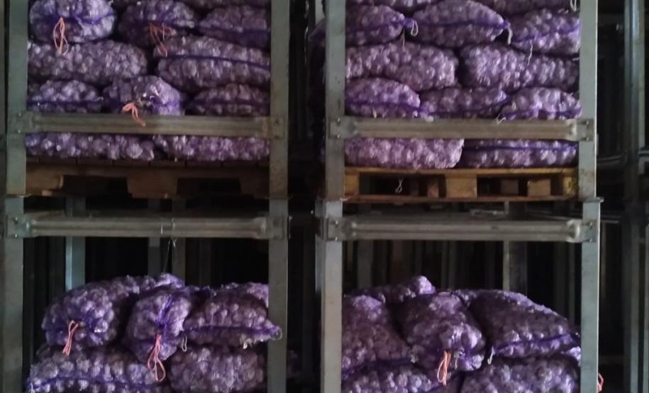 Programa Compra Direta recebe 27 toneladas de alho apreendidas pela Receita Federal