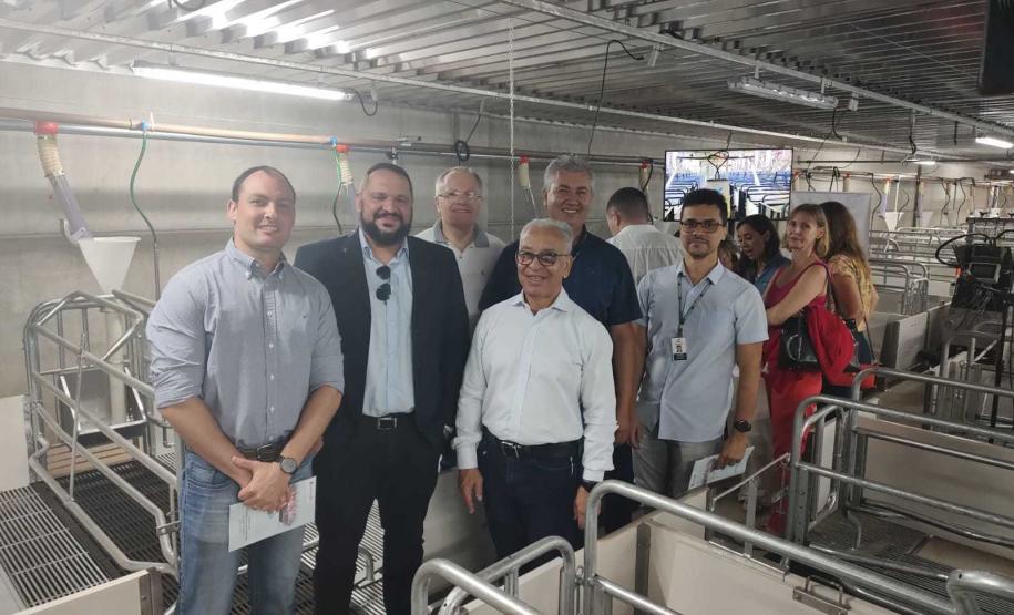 Paranavaí recebe núcleo de genética suína com investimento de R$ 332 milhões