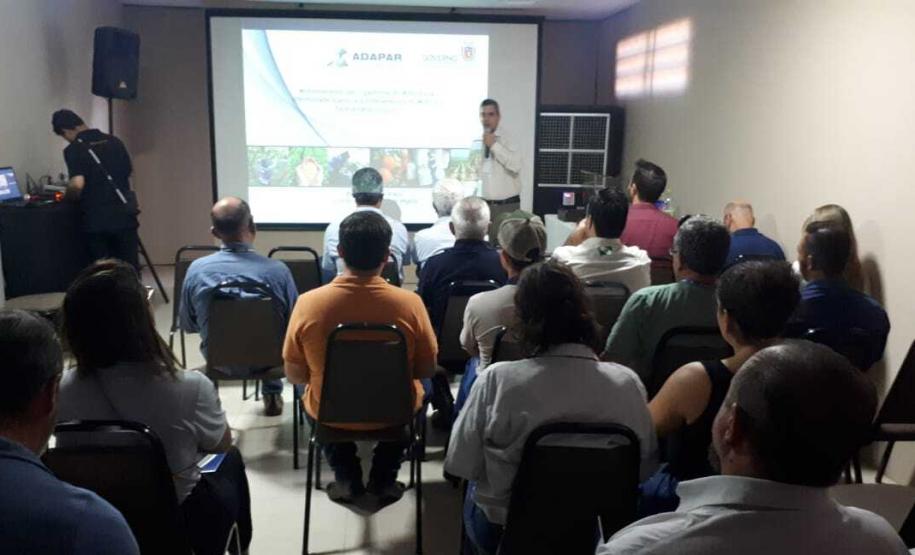 Adapar apresenta ações de controle biológico da cigarrinha, praga do milho