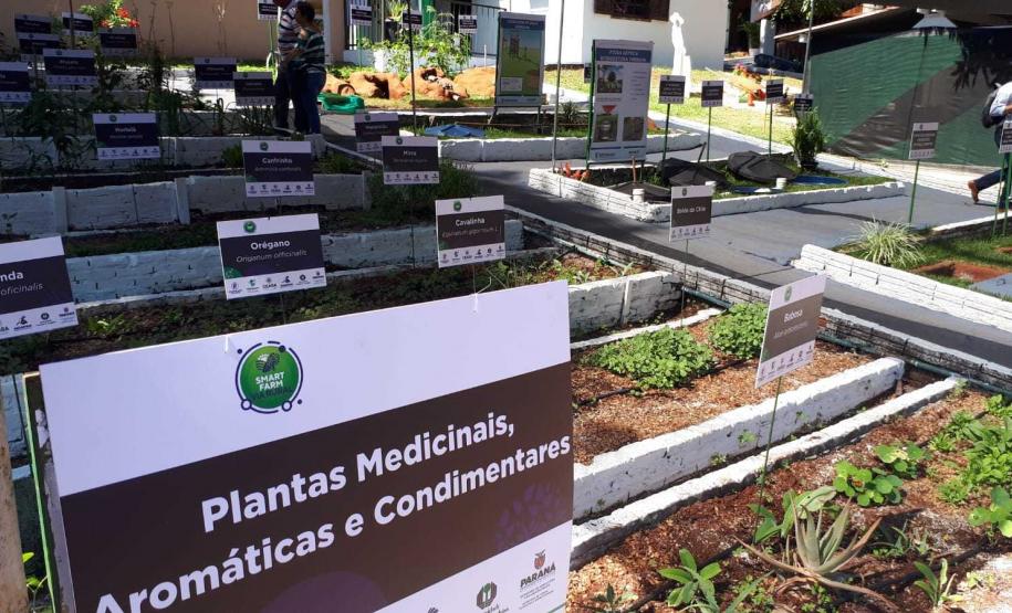 Eventos na ExpoLondrina discutem sustentabilidade na agropecuária