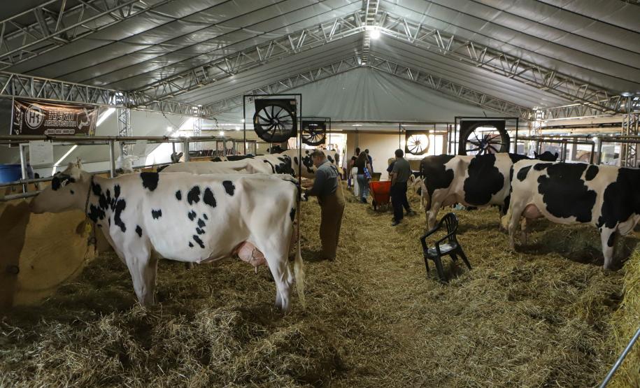 Em Carambeí, governador destaca cooperativismo e garante apoio ao agronegócio paranaense